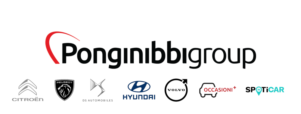 Ponginibbi Group